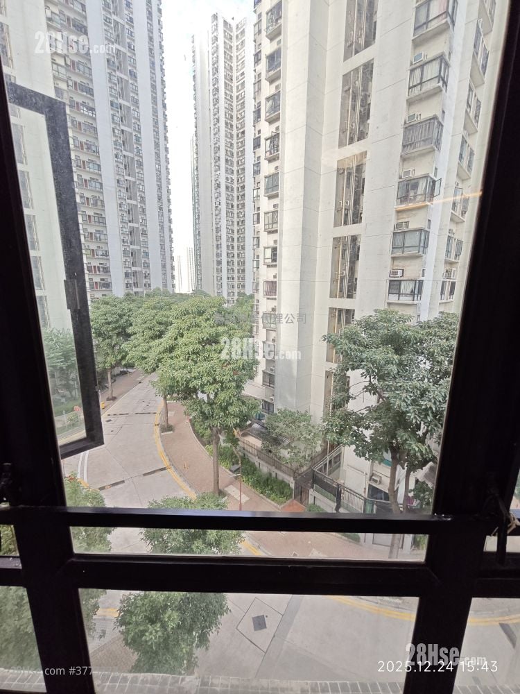 大兴花园 租盘 2 房 , 1 浴室 464 平方尺