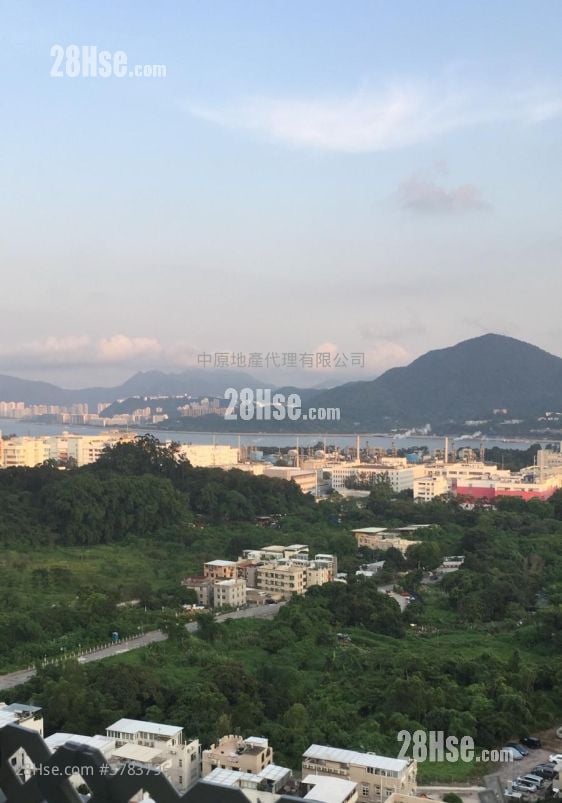 岚山 售盘 3 房 736 平方尺