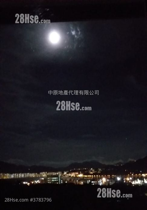 岚山 售盘 3 房 736 平方尺