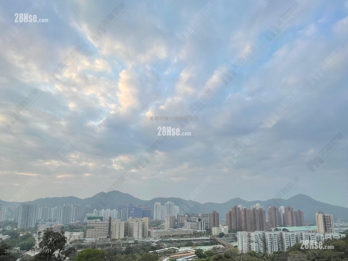 御半山 租盘 250 平方尺