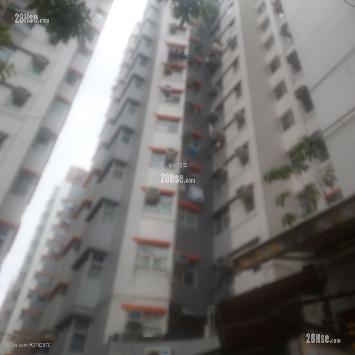 美居中心 售盘 1 浴室 322 平方尺