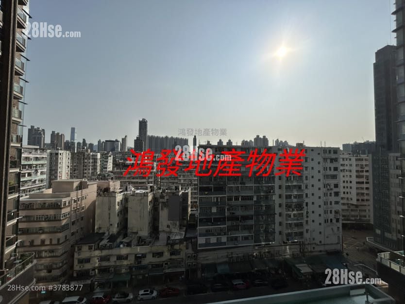 Belgravia Place 租盘 1 房 , 1 浴室 264 平方尺