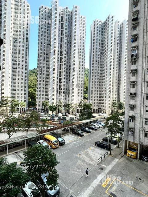 富景花园 售盘 3 房 592 平方尺