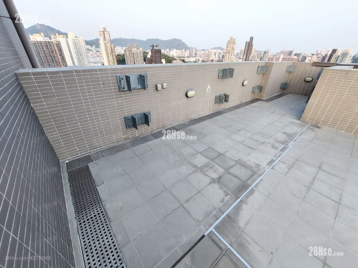 AVA228 租盘 1 房 , 1 浴室 249 平方尺