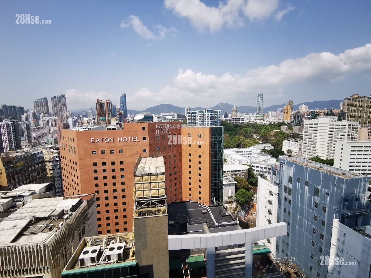 Topside Residence Rental 2 Bedrooms , 1 Bathroom 385 ft²