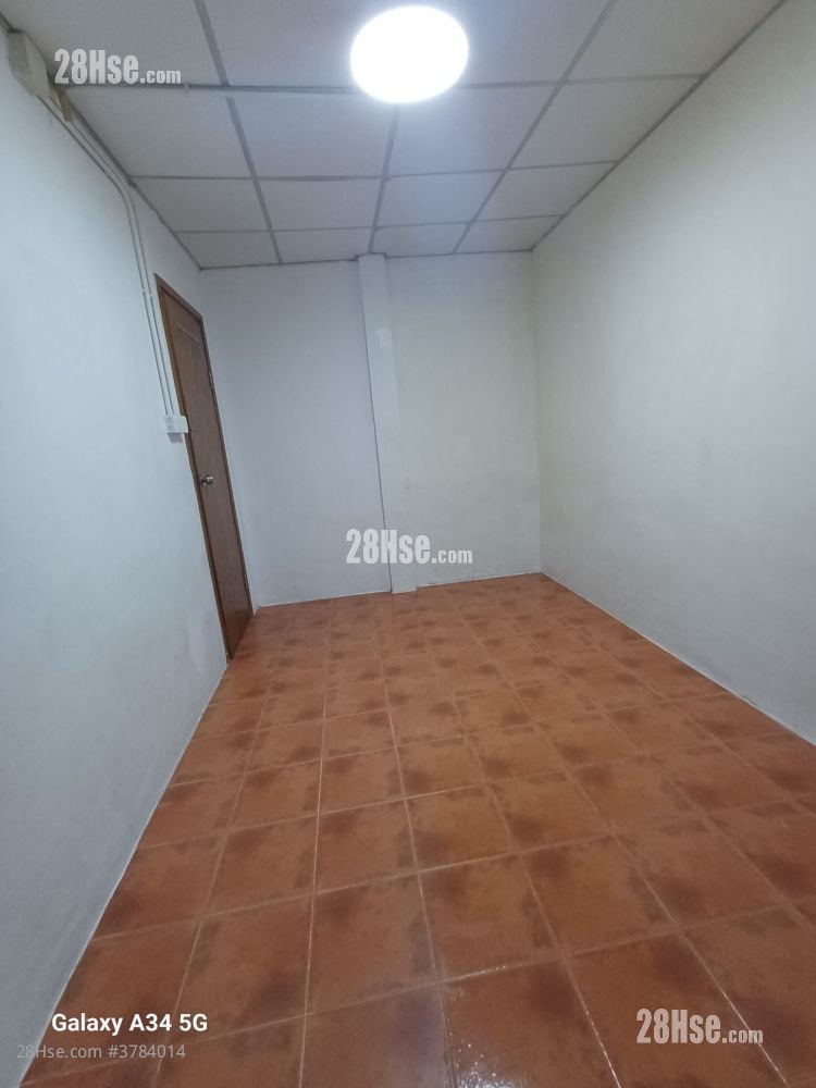 白田新村 租盘 2 房 , 1 浴室 250 平方尺