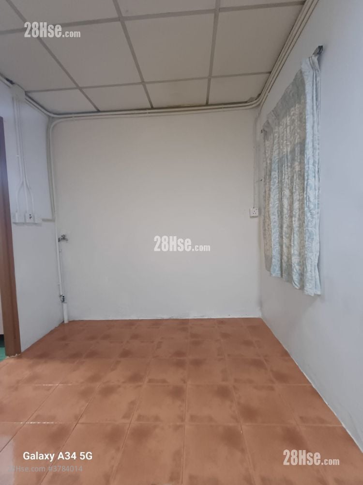 白田新村 租盘 2 房 , 1 浴室 250 平方尺