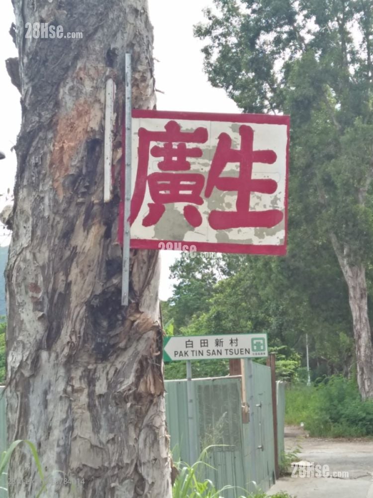 白田新村 租盘 2 房 , 1 浴室 250 平方尺