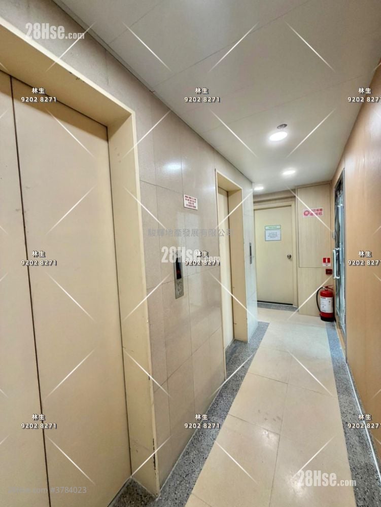 Will Strong Development Building Rental Studio