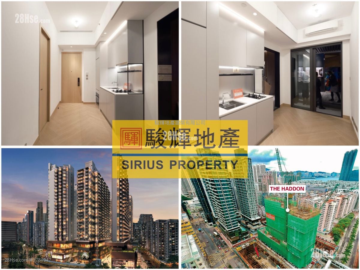 The Haddon Sell 1 Bedroom , 1 Bathroom 262 ft²