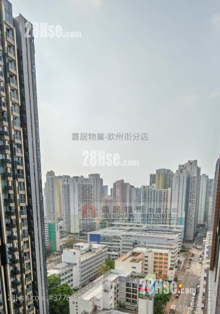 晓盈 售盘 1 房 , 1 浴室 295 平方尺