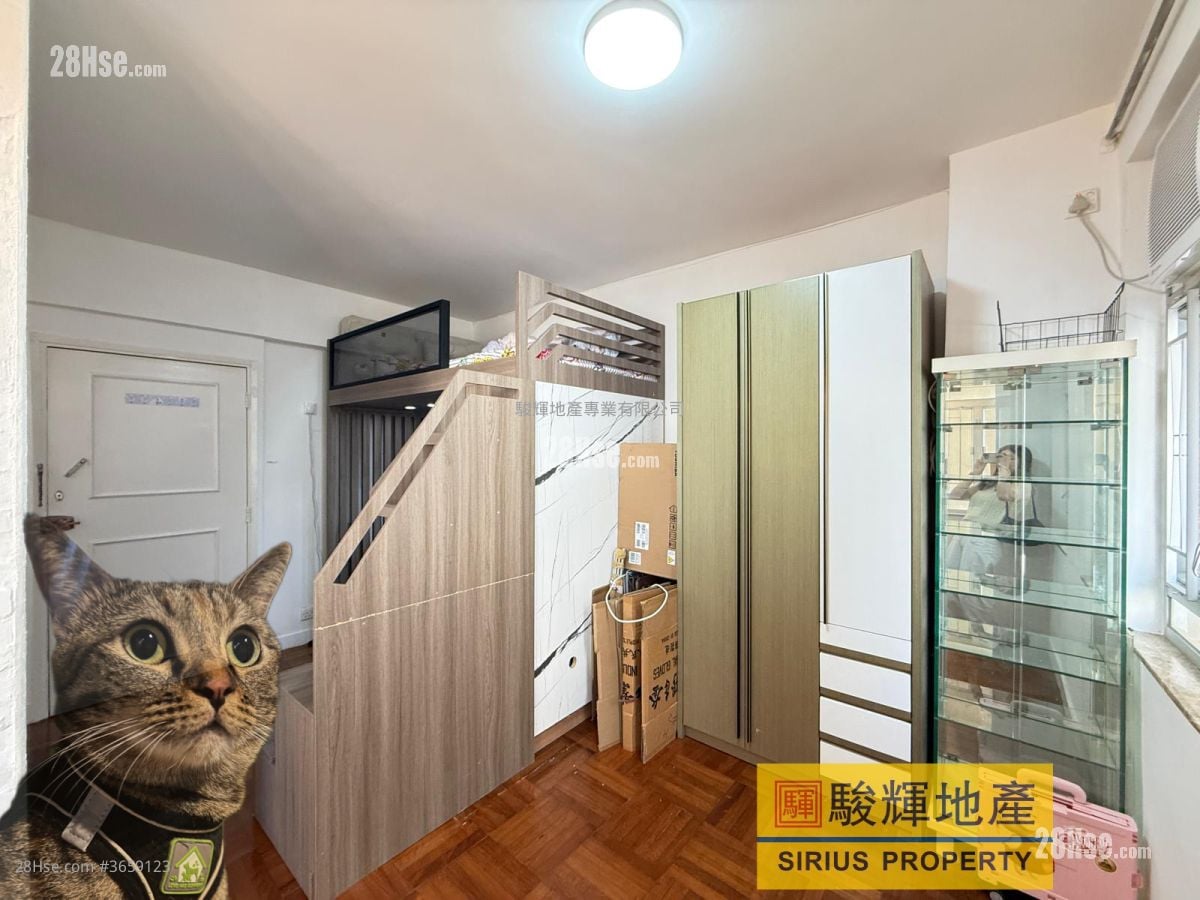 Tin Man Court Sell Studio , 1 Bathroom 284 ft²