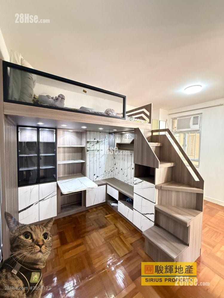 Tin Man Court Sell Studio , 1 Bathroom 284 ft²