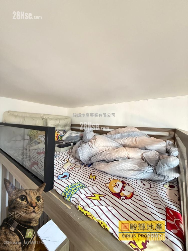 Tin Man Court Sell Studio , 1 Bathroom 284 ft²