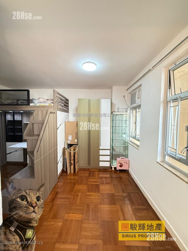 Tin Man Court Sell Studio , 1 Bathroom 284 ft²