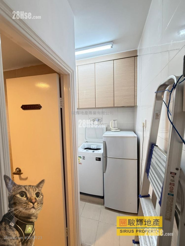 Tin Man Court Sell Studio , 1 Bathroom 284 ft²