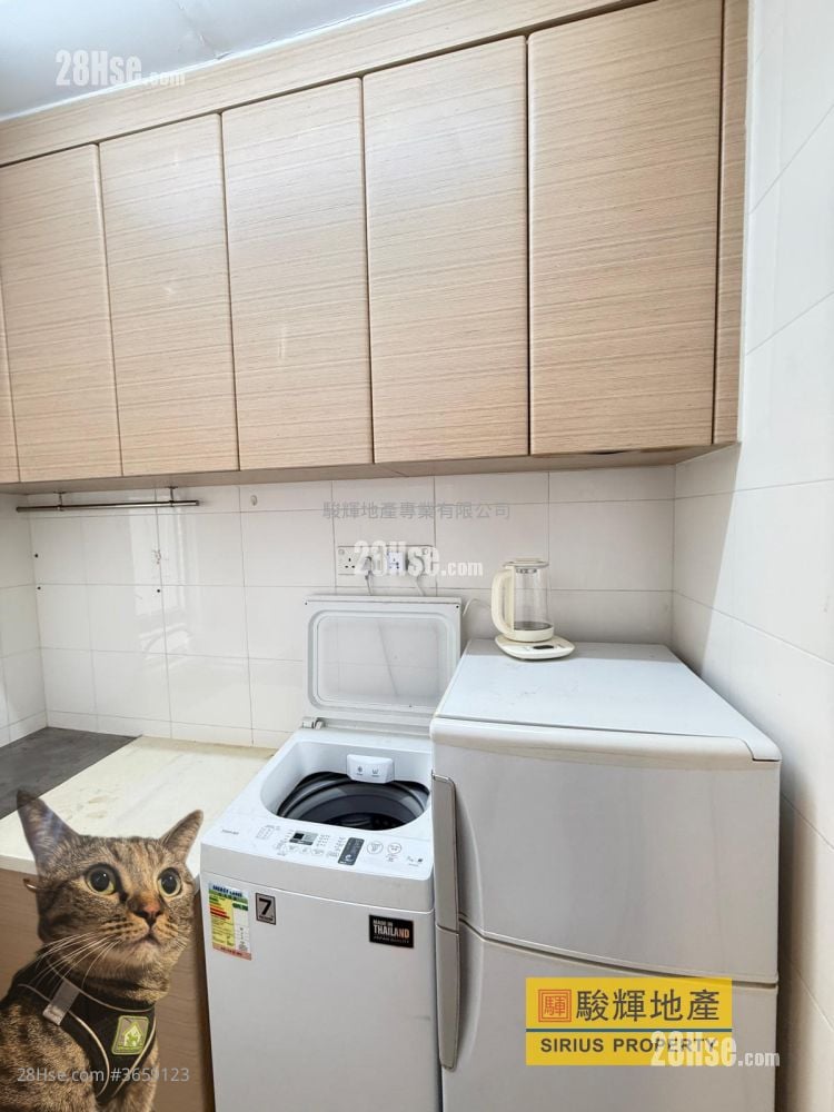 Tin Man Court Sell Studio , 1 Bathroom 284 ft²
