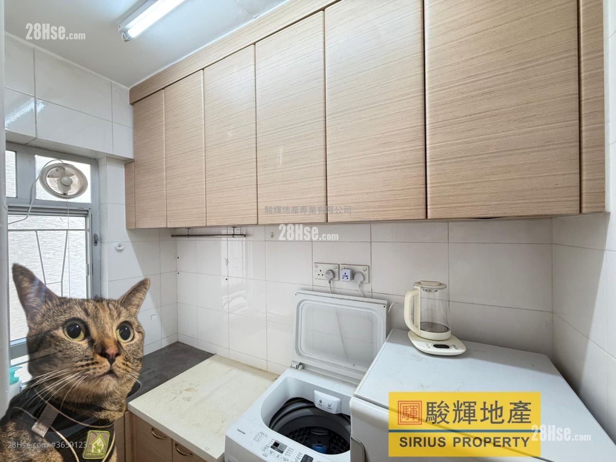 Tin Man Court Sell Studio , 1 Bathroom 284 ft²