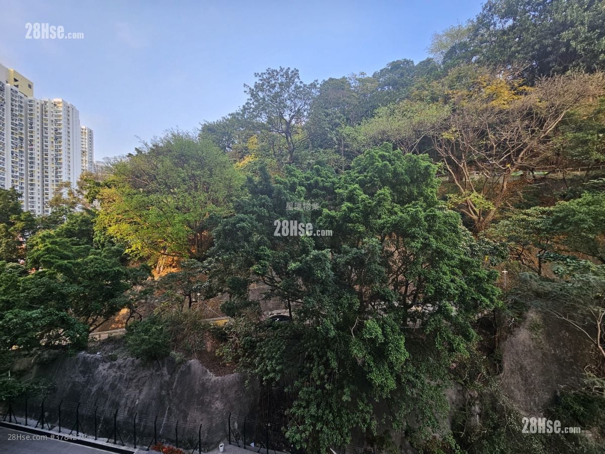 晓柏峰 租盘 1 房 , 1 浴室 247 平方尺