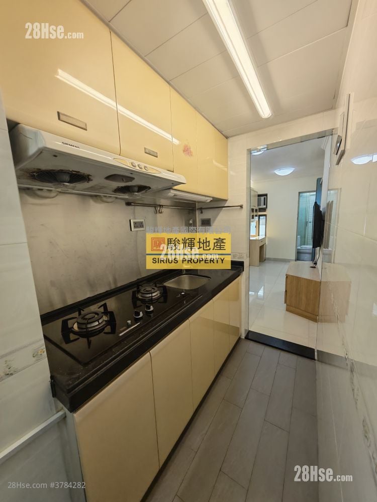 Strong Good Building Rental 1 Bedroom , 1 Bathroom 268 ft²