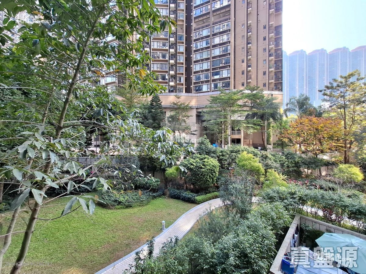 Century Link Rental 1 Bedroom , 1 Bathroom 378 ft²