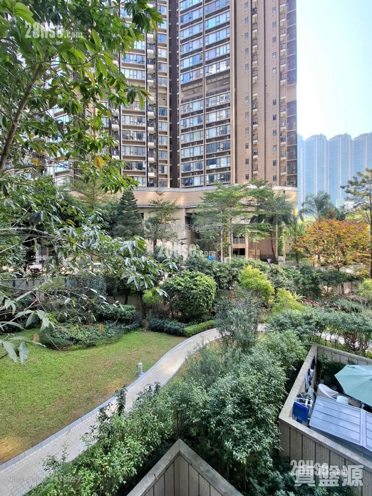 Century Link Rental 1 Bedroom , 1 Bathroom 378 ft²