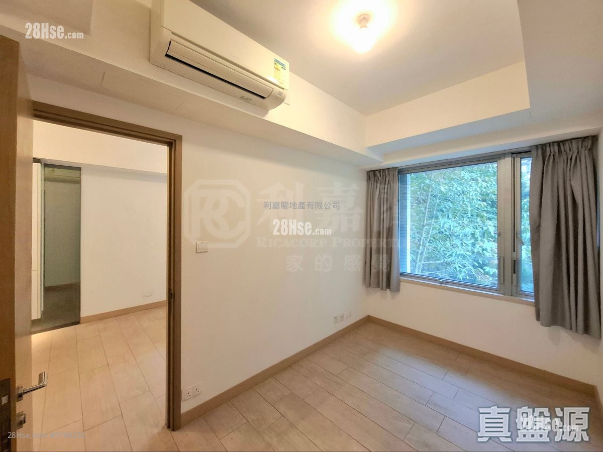 Century Link Rental 1 Bedroom , 1 Bathroom 378 ft²