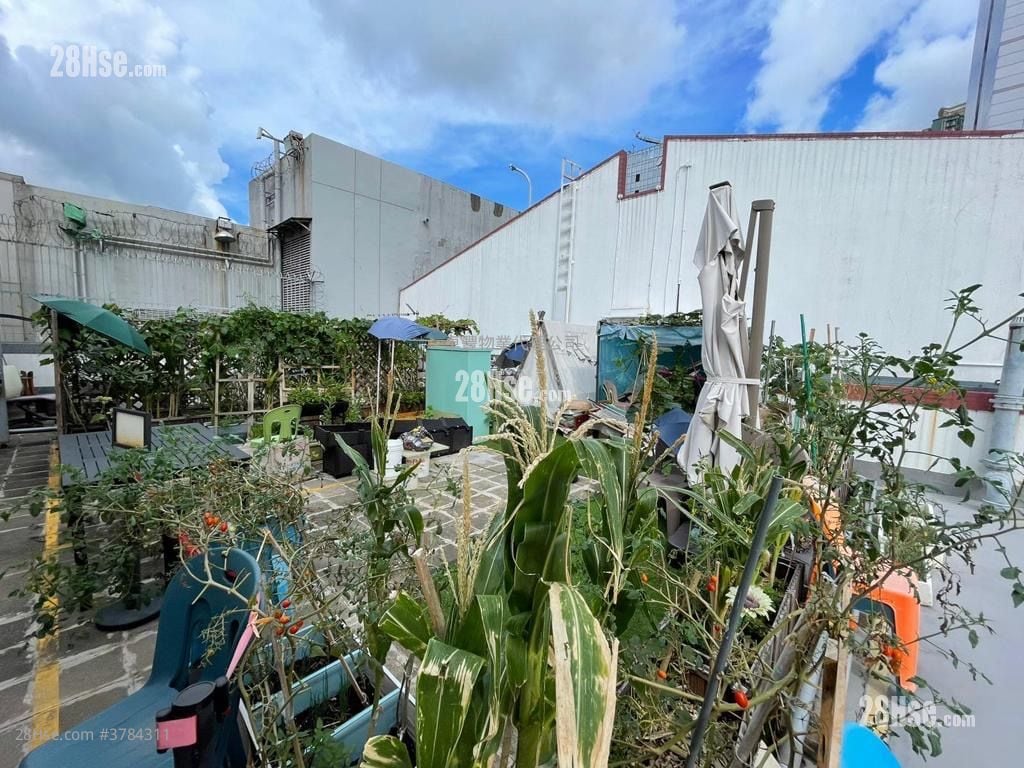 时信中心 售盘 开放式间隔 , 1 厕所 463 平方尺