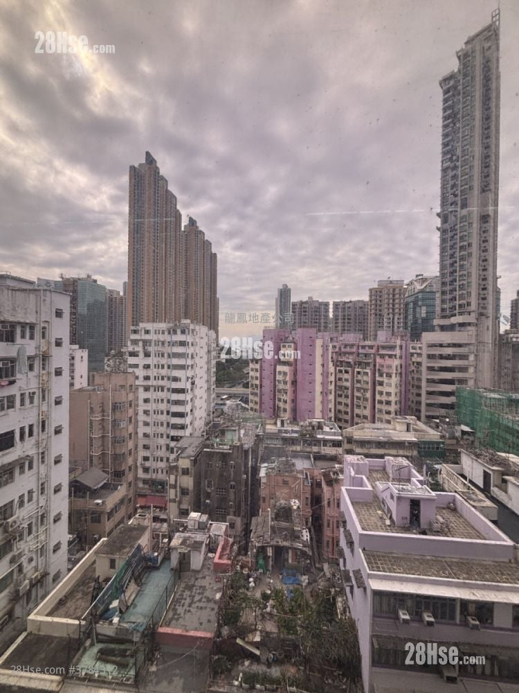 海岛中心 租盘 385 平方尺