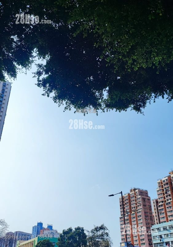 Apartment Rental 100 ft²