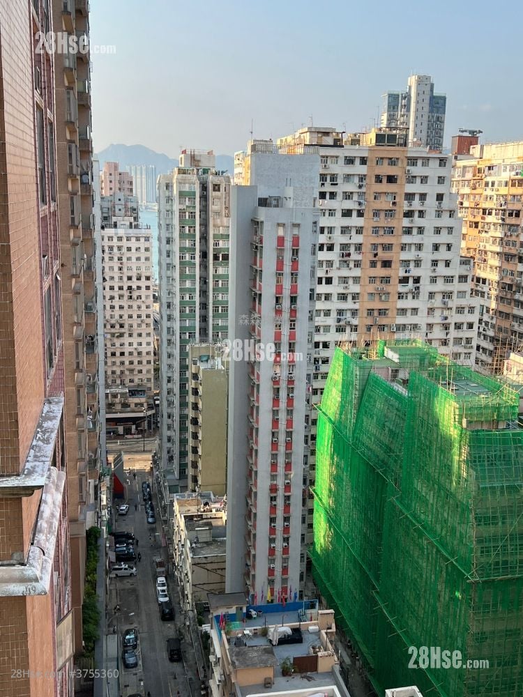 形品 租盘 开放式间隔 , 1 浴室 300 平方尺