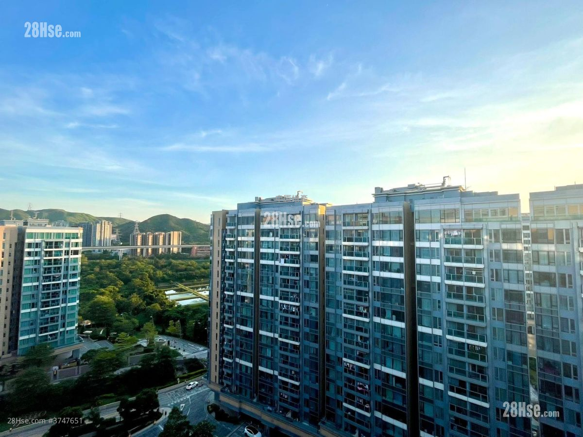 峻峦 售盘 2 房 520 平方尺