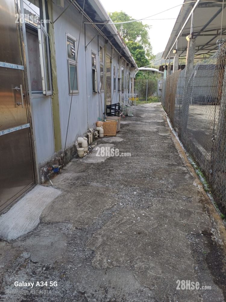 白田新村 租盘 2 房 , 1 浴室 250 平方尺