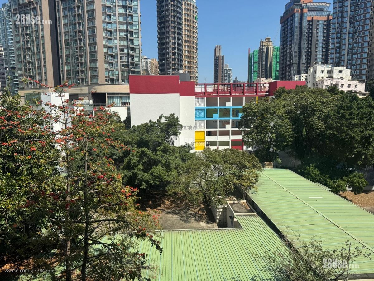 红磡花园 售盘 3 房 , 1 浴室 480 平方尺