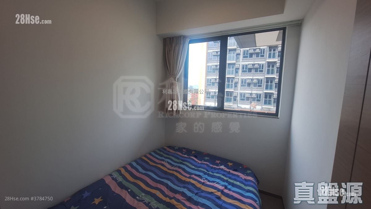 滙都 租盘 2 房 , 1 浴室 450 平方尺