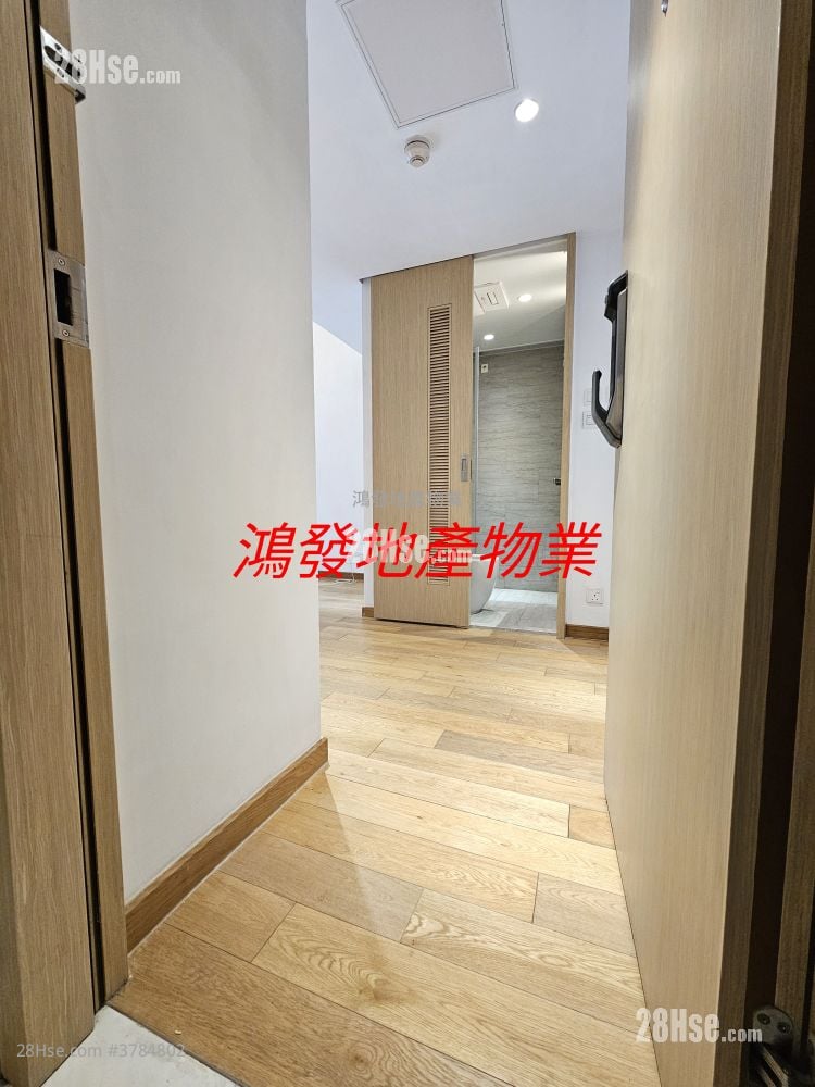 悦雅 租盘 开放式间隔 , 1 浴室 217 平方尺