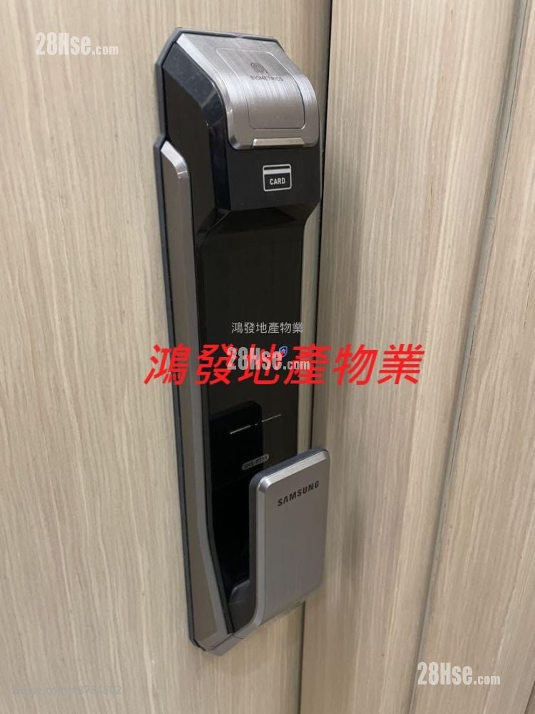 悦雅 租盘 开放式间隔 , 1 浴室 217 平方尺