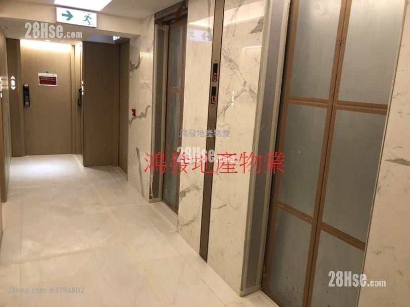 悦雅 租盘 开放式间隔 , 1 浴室 217 平方尺