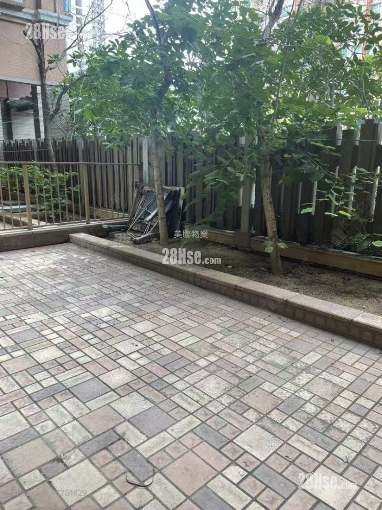 栢慧豪园 租盘 494 平方尺