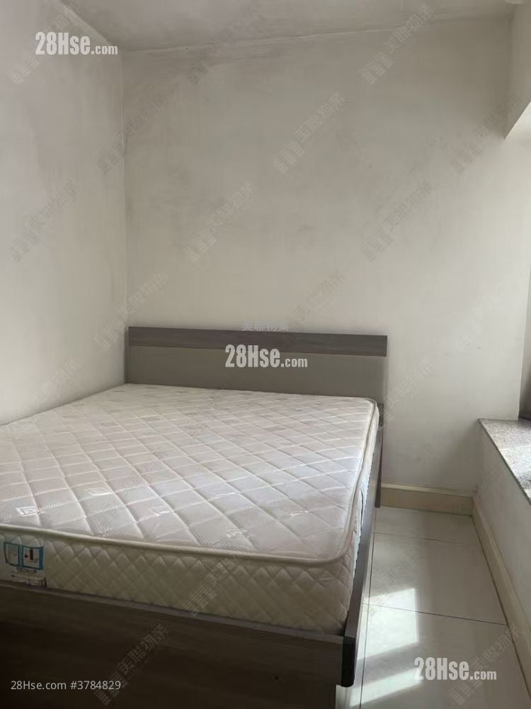 栢慧豪园 租盘 494 平方尺