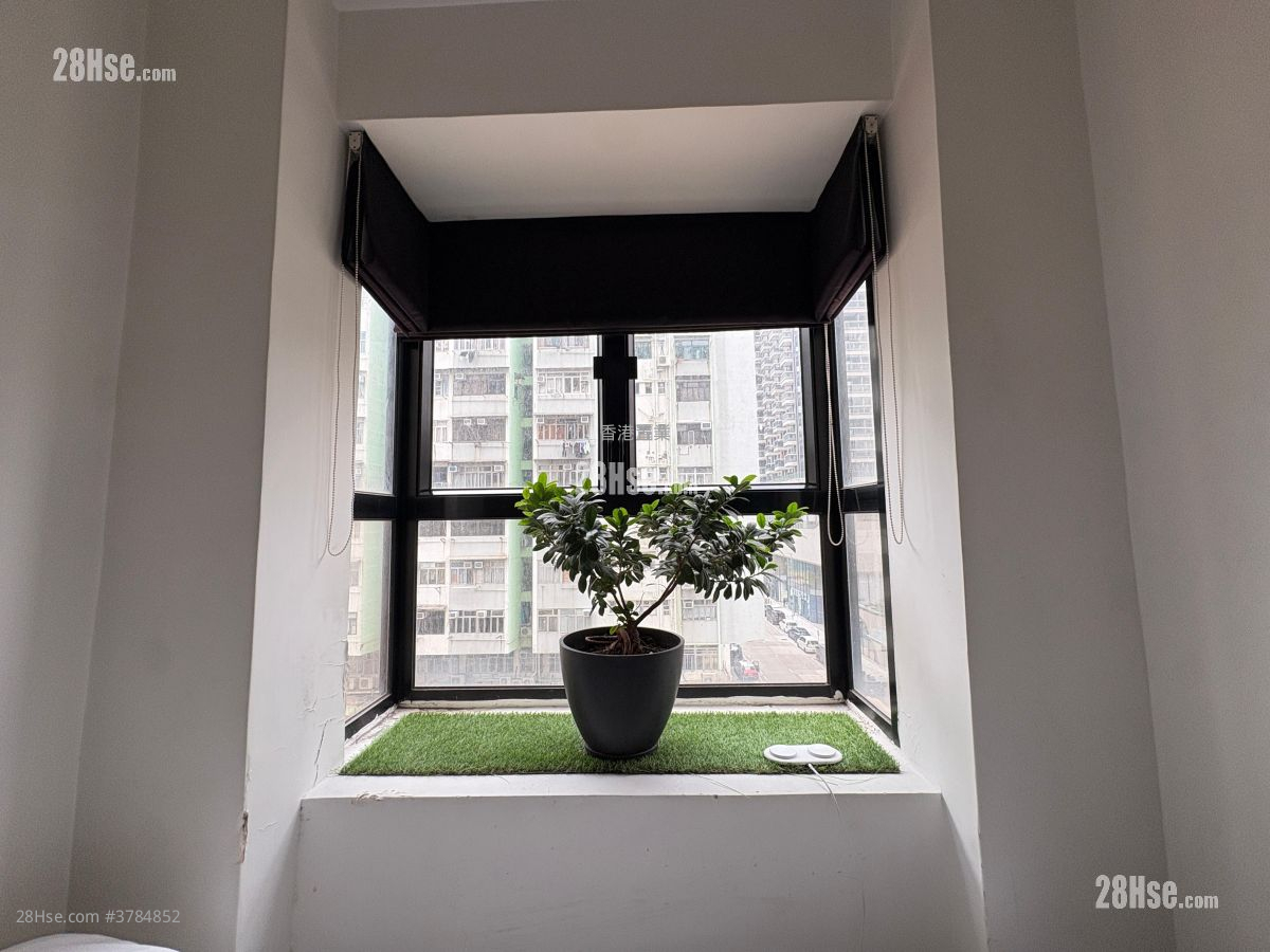 Comfort Court Sell 236 ft²