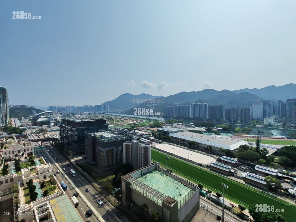 The Palazzo Rental 4 Bedrooms , 2 Bathrooms 1,461 ft²