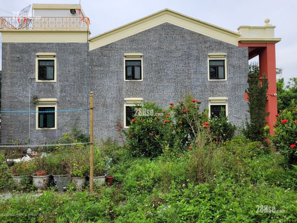 新界元朗新田新围村71号 售盘 4 房 , 1 浴室 1,400 平方尺