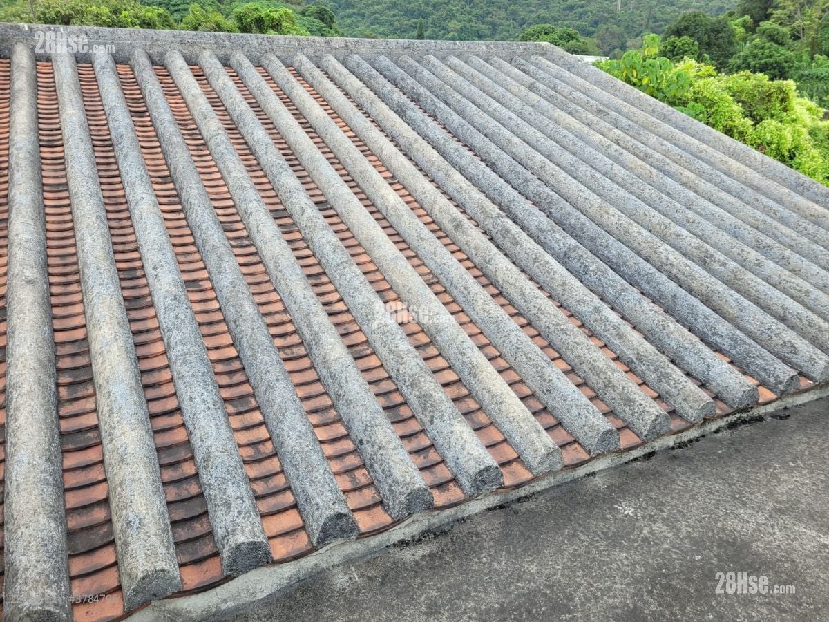 新界元朗新田新围村71号 售盘 4 房 , 1 浴室 1,400 平方尺