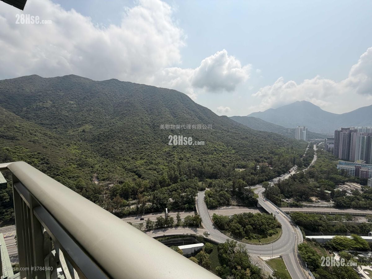 Caribbean Coast Rental 565 ft²