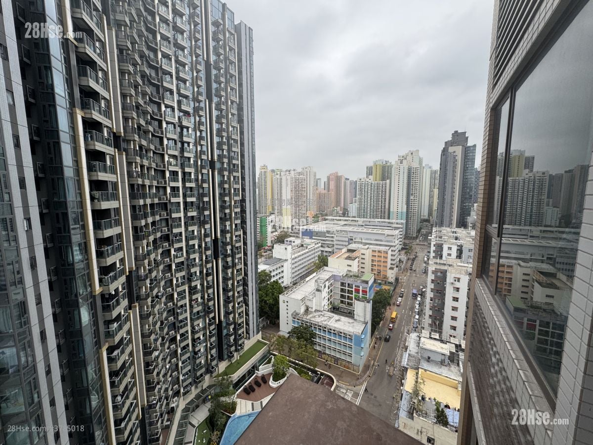 晓盈 售盘 1 房 , 1 浴室 295 平方尺