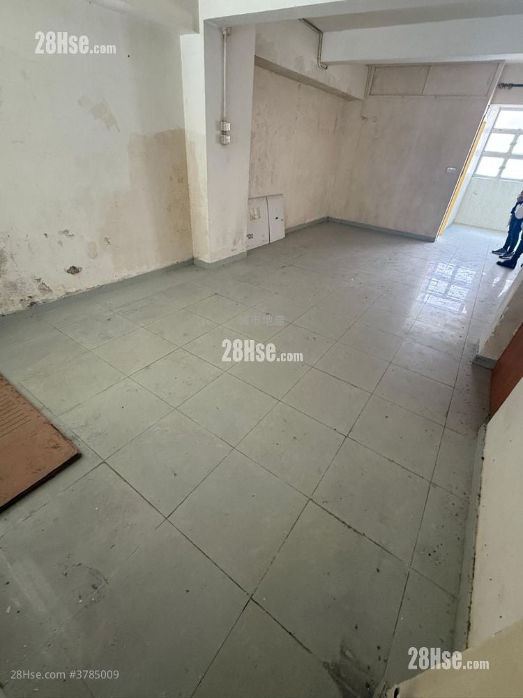 唐楼 售盘 687 平方尺