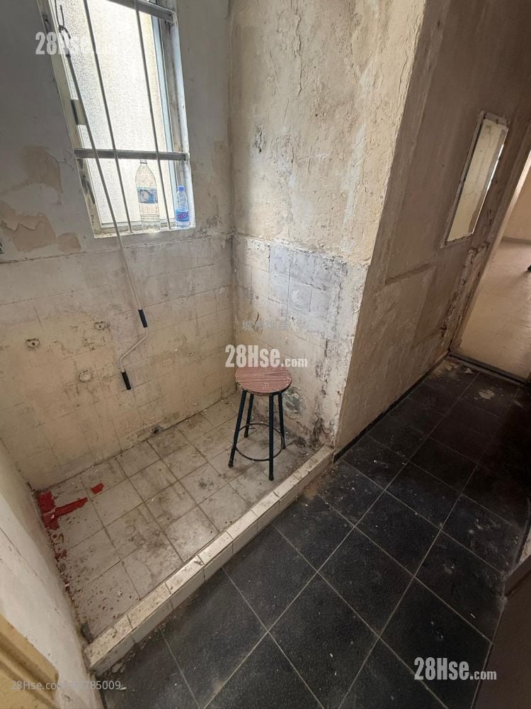 唐楼 售盘 687 平方尺