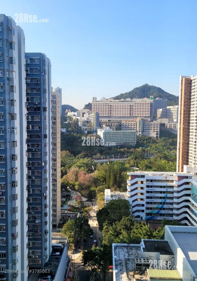 building outlook: Gold Mine Building Rental 1 Bedroom , 1 Bathroom 246 ft²