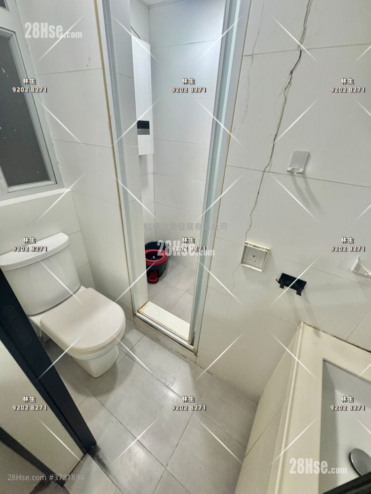 文苑街48号 租盘 3 房 , 1 浴室 665 平方尺